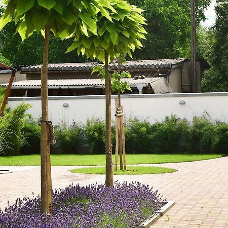 Villa Veda Цеденик Экстерьер фото